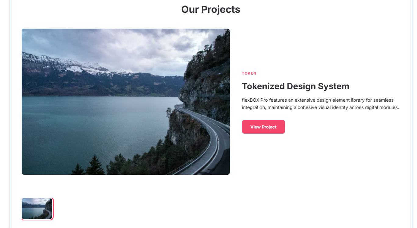 project showcase